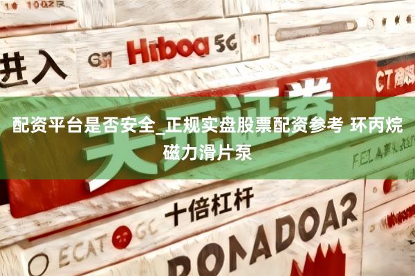 配资平台是否安全_正规实盘股票配资参考 环丙烷磁力滑片泵